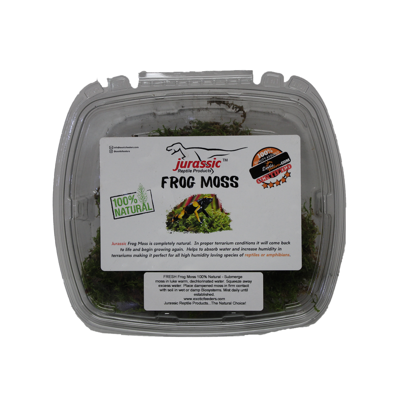 Jurassic Reptile Products - Frog/Sphagnum Moss Container - Pisces Pet Emporium