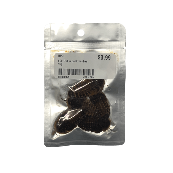 Eco Fresh Dubia Cockroaches - 15 g - Pisces Pet Emporium