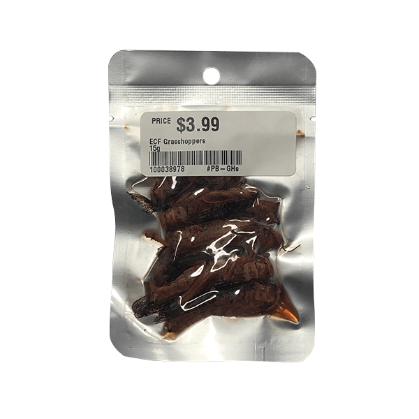 Eco Fresh Grasshoppers - 15 g - Pisces Pet Emporium