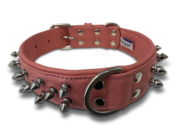 Angel Amsterdam Collar - Pink - Pisces Pet Emporium