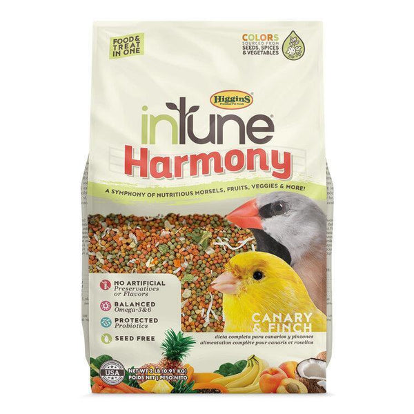 Higgins inTune Harmony - Canary & Finch - Pisces Pet Emporium
