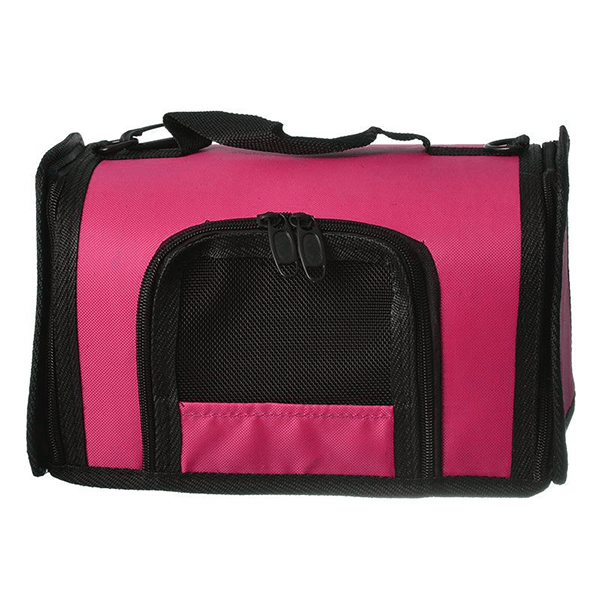 Kaytee Come Along Pet Carrier - Pisces Pet Emporium