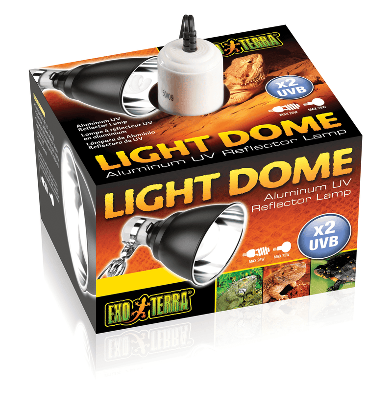 Exo Terra Light Dome - Pisces Pet Emporium