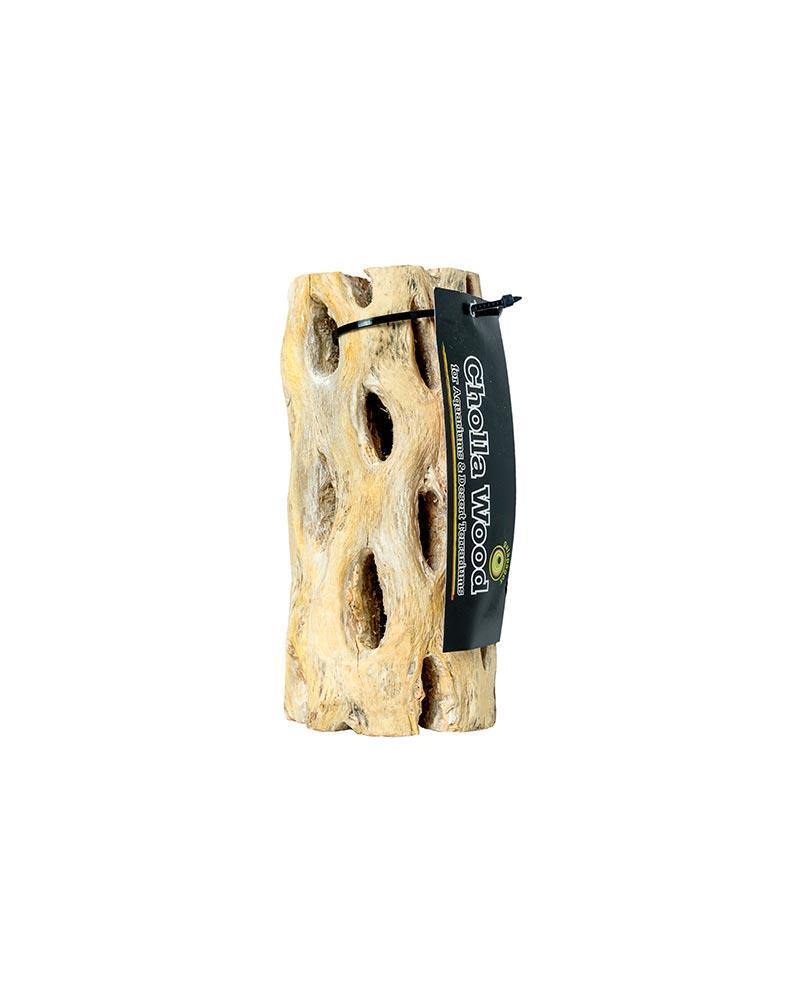Galapagos Cholla Wood 6in - Pisces Pet Emporium