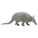 Safari Ltd. Armadillo - Pisces Pet Emporium