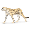 Safari Ltd. Cheetah - Pisces Pet Emporium
