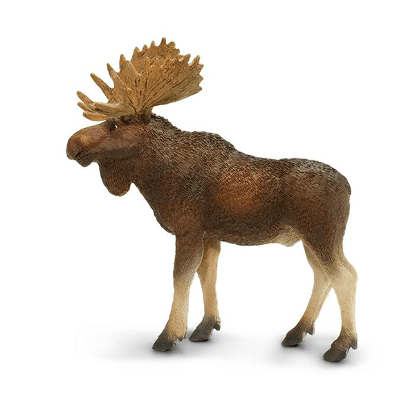 Safari Ltd. Bull Moose - Pisces Pet Emporium