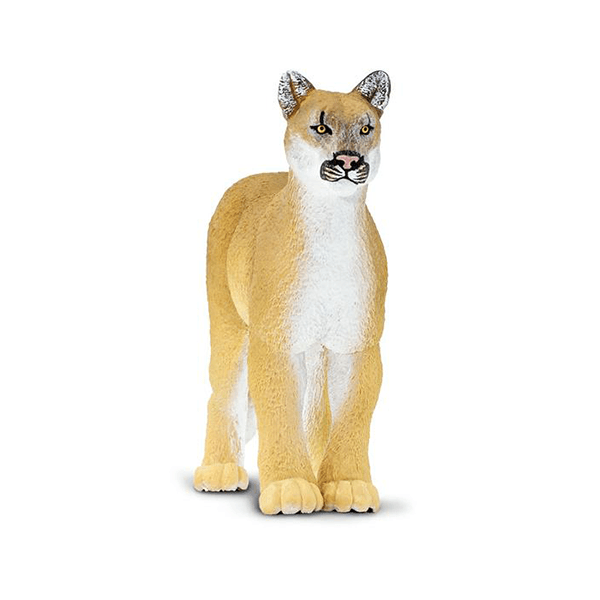 Safari Ltd. Florida Panther - Pisces Pet Emporium