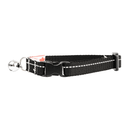 RC Pets Black Primary Kitty Breakaway Collar - Pisces Pet Emporium