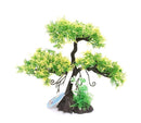 Aqua-Fit Upright Cedar Bonsai - Pisces Pet Emporium