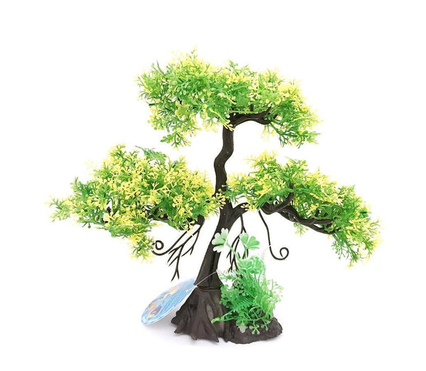 Aqua-Fit Upright Cedar Bonsai - Pisces Pet Emporium