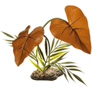Komodo Rainforest Canopy - Pisces Pet Emporium