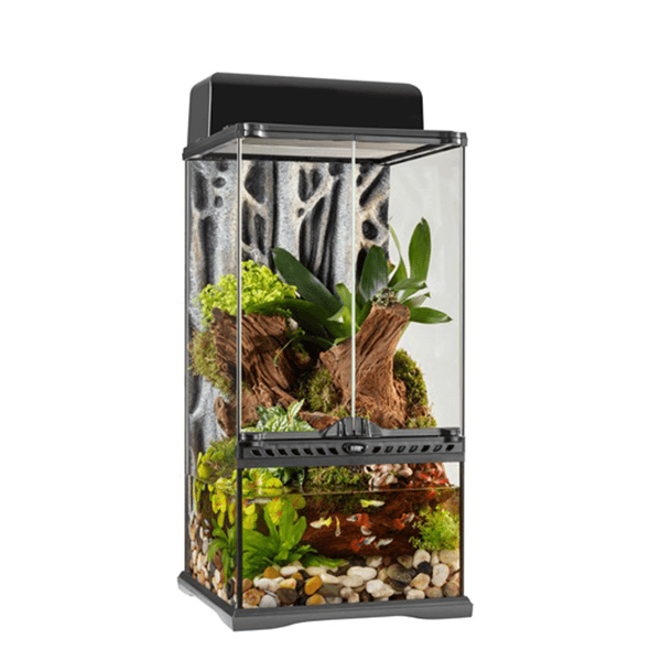 Exo Terra Mini X-Tall Advanced Paludarium & Rainforest Terrarium - 12" x 12" x 24" - Pisces Pet Emporium