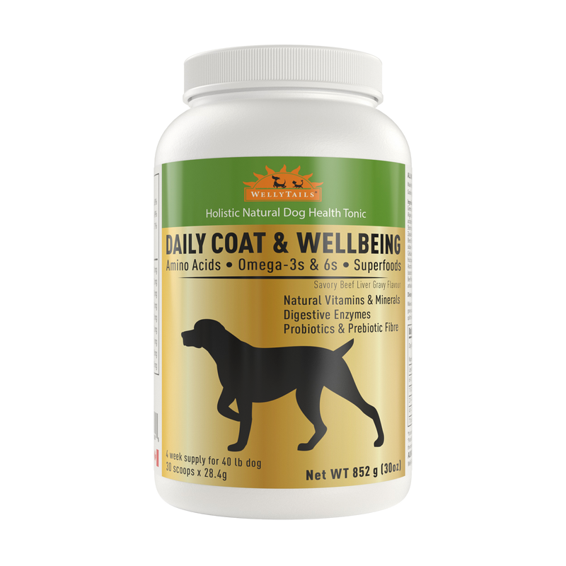 WellyTails Daily Coat & Wellbeing | Pisces