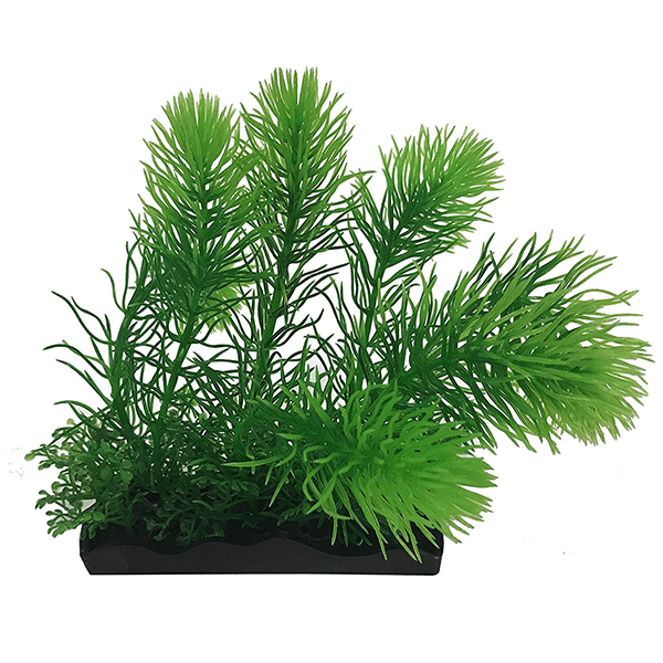 Penn Plax Aqua Plant Water Sprite Bunch - Pisces Pet Emporium
