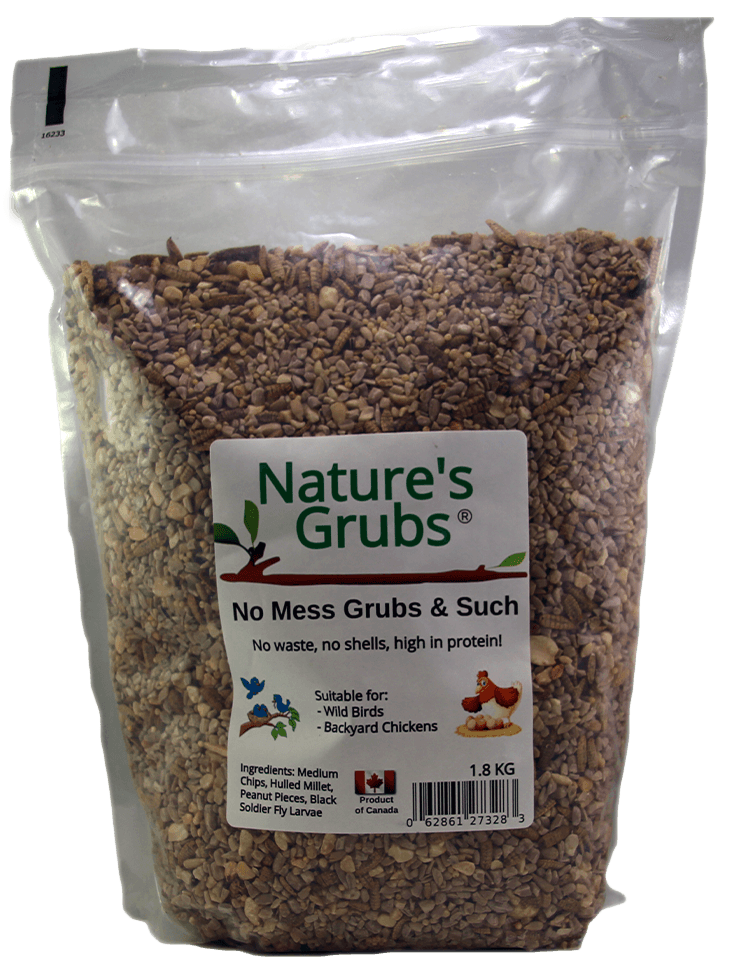 Natures Grubs - Grubs & Such - Pisces Pet Emporium