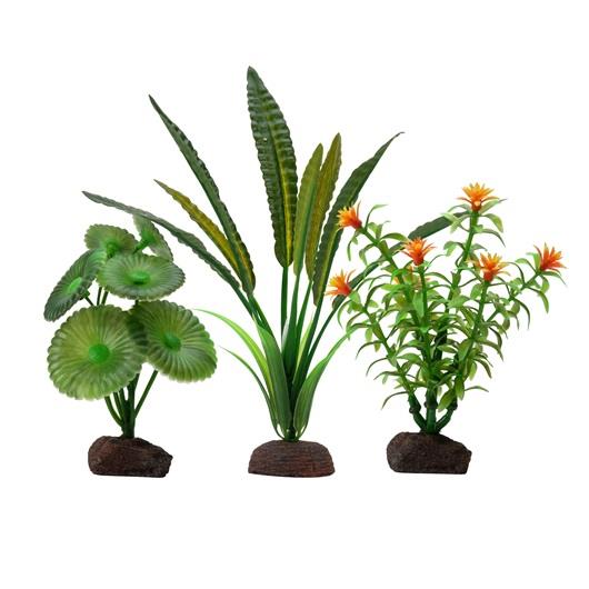 Fluval Aqualife Elodea 3 Plant Set | Pisces