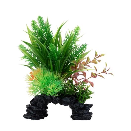 Fluval Aqualife Ludwigia/Sagittarius Mix | Pisces