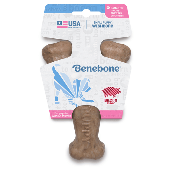 Benebone Wishbone Puppy - Bacon - Pisces Pet Emporium