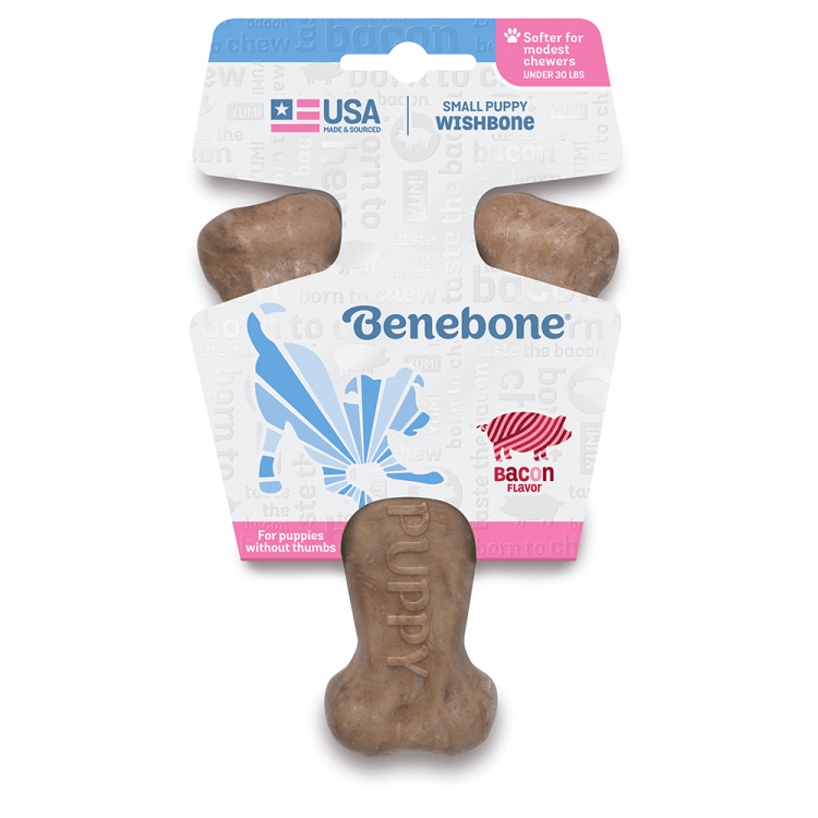 Benebone Wishbone Puppy - Bacon - Pisces Pet Emporium