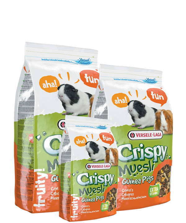 Versele-Laga Crispy Muesli Guinea Pig - 2.75kg - Pisces Pet Emporium