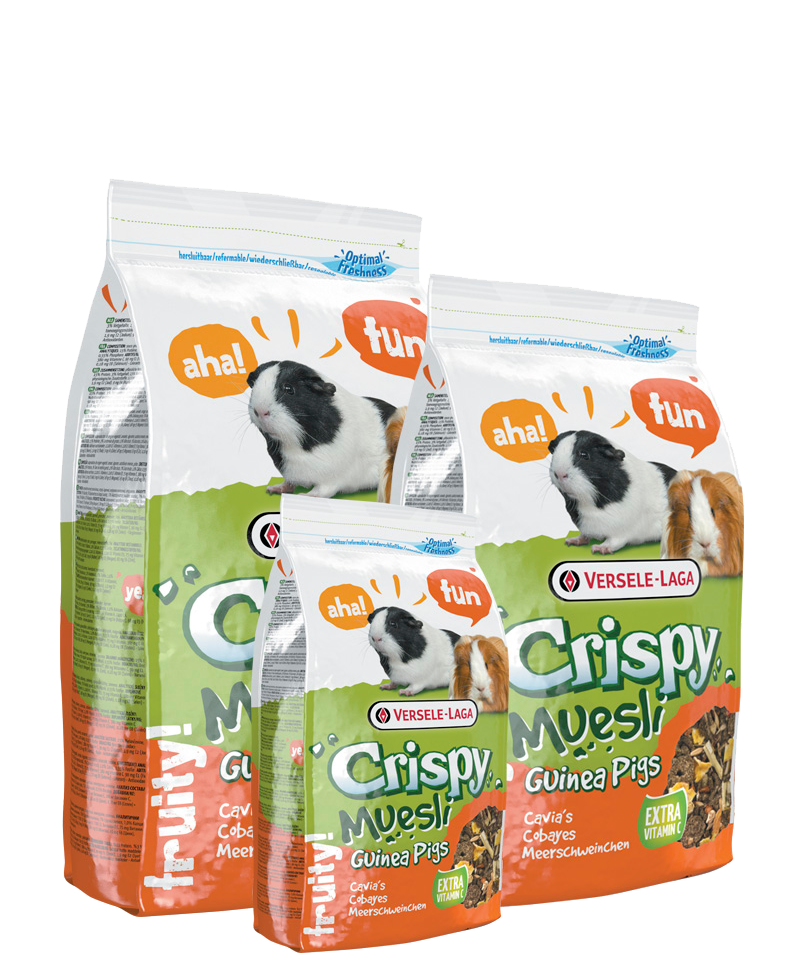 Versele-Laga Crispy Muesli Guinea Pig - 2.75kg - Pisces Pet Emporium