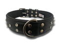 Angel Athens Collar - Black - Pisces Pet Emporium