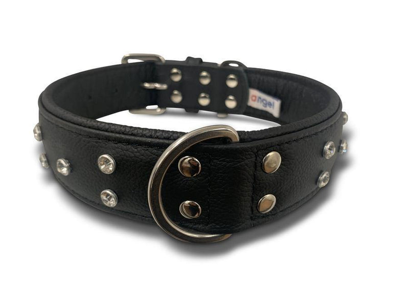 Angel Athens Collar - Black - Pisces Pet Emporium
