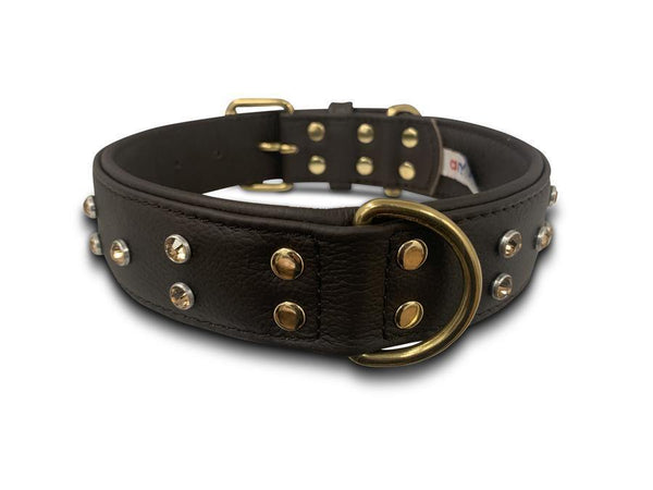 Angel Athens Collar - Brown - Pisces Pet Emporium