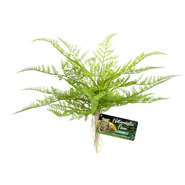 Zoo Med Naturalistic Flora - Lace Fern - Pisces Pet Emporium
