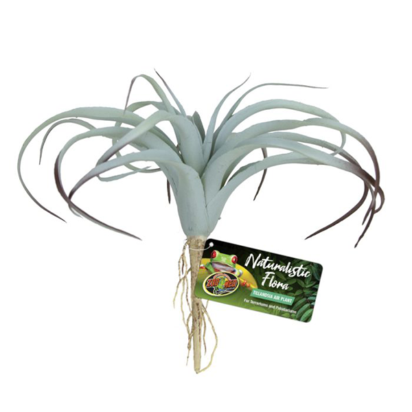 Zoo Med Naturalistic Flora - Tillandsia Air Plant - Pisces Pet Emporium