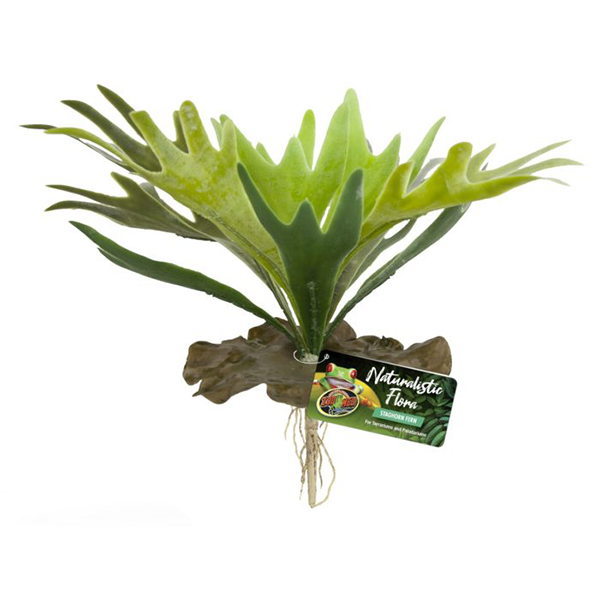Zoo Med Naturalistic Flora - Staghorn Fern - Pisces Pet Emporium