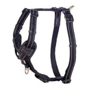 Rogz Control Harness Padded Large - Available in Five Colours - Pisces Pet Emporium