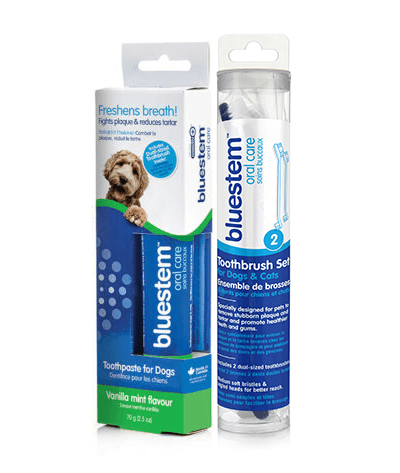 Bluestem Toothpaste Vanilla Mint - 70g - Pisces Pet Emporium