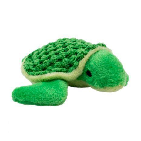 Tall Tails 4" Baby Turtle - Pisces Pet Emporium
