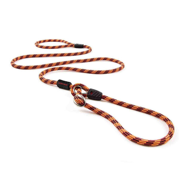 EzyDog Luca Leash Lite - Orange - Pisces Pet Emporium