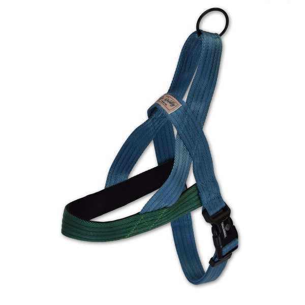 Hamilton Norwegian Harness - Riverbend - Green/Ocean - Pisces Pet Emporium