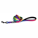 Hamilton Rainbow Nylon Lead w/ Padded Handle - Pisces Pet Emporium