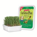 Miracle Care Cat A'Bout - Cat Grass Plus - Pisces Pet Emporium