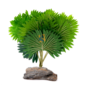 Pet-Tekk Habi-Scape Mini Fan Palm - Pisces Pet Emporium