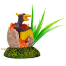 Aqua-Fit Dino Egg Ornaments - Pisces Pet Emporium