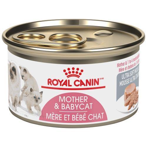 Royal Canin Babycat Instinctive Mousse 145g - Pisces Pet Emporium