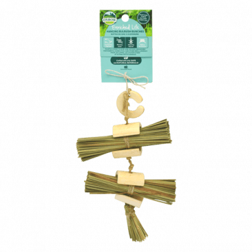 Oxbow Enriched Life - Hanging Bulrush Bunches - Pisces Pet Emporium
