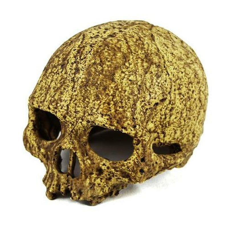 Pangea Human Skull Cave - Pisces Pet Emporium
