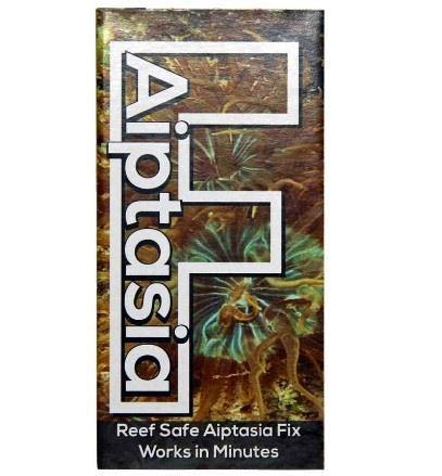 F-Aiptasia - Pisces Pet Emporium