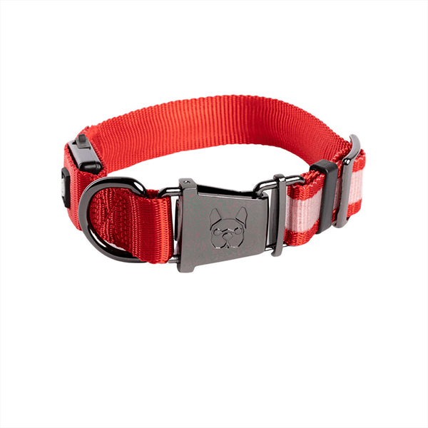 Silver Paw Country Living LED Light Glow Collar - Pisces Pet Emporium