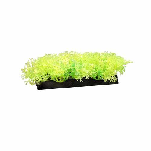 Penn Plax Aqua-Scaping Glow Bunch Plant - Green - Pisces Pet Emporium