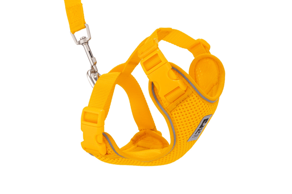 RC Pets Adventure Kitty Harness - Marigold - Pisces Pet Emporium