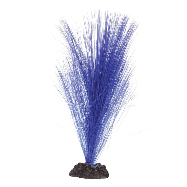 Underwater Treasures Purple Hairgrass | Pisces