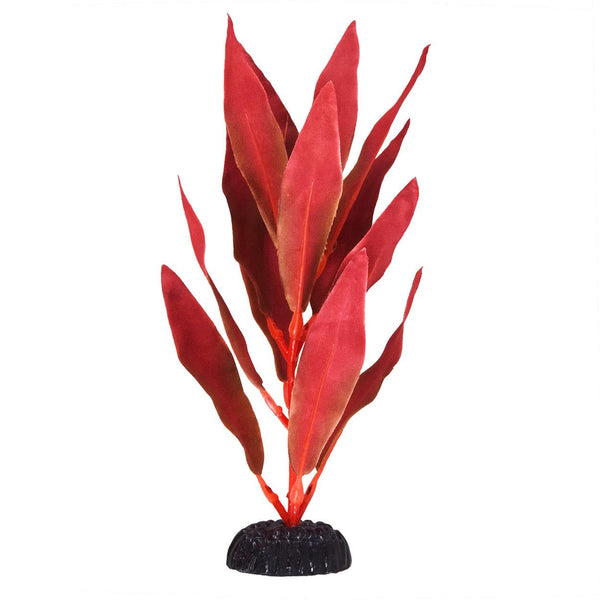 Underwater Treasures Red Hygro | Pisces